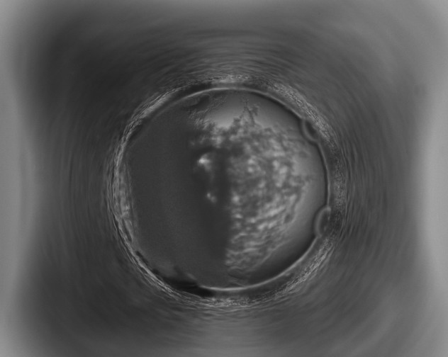 X0000087680721200705111300