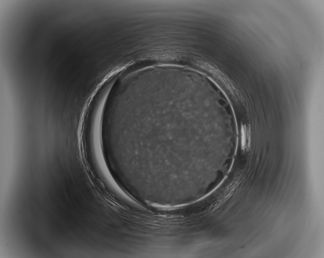 X0000087680723200705111300