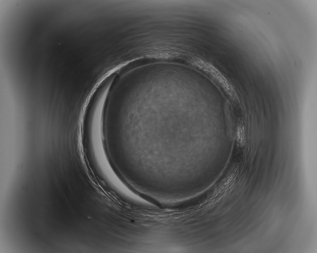 X0000087680724200705111300