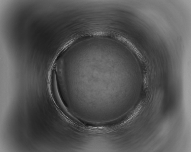 X0000087680725200705111300