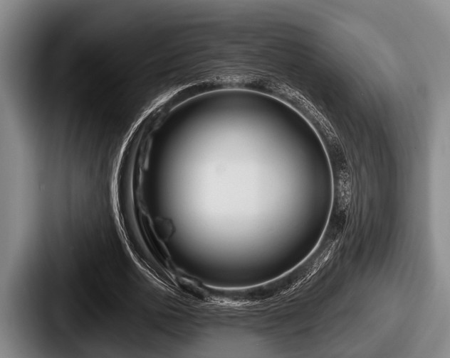 X0000087680726200705111300