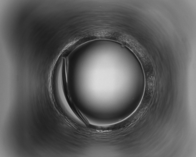 X0000087680727200705111300