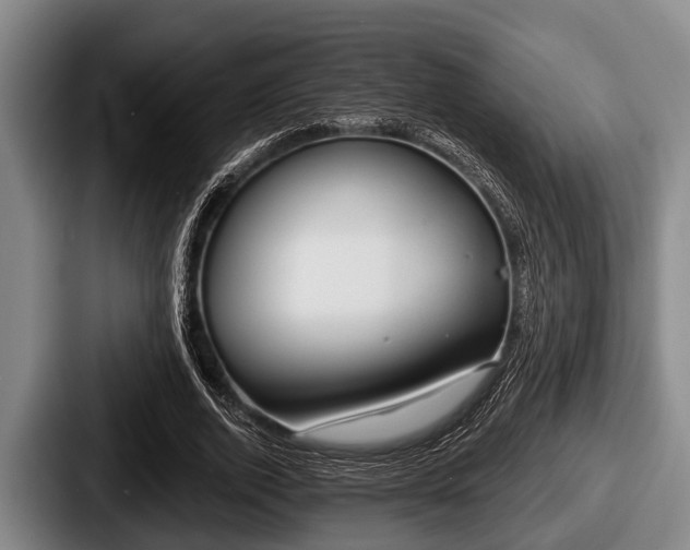 X0000087680728200705111300