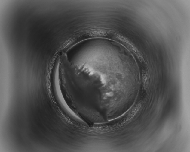 X0000087680729200705111300
