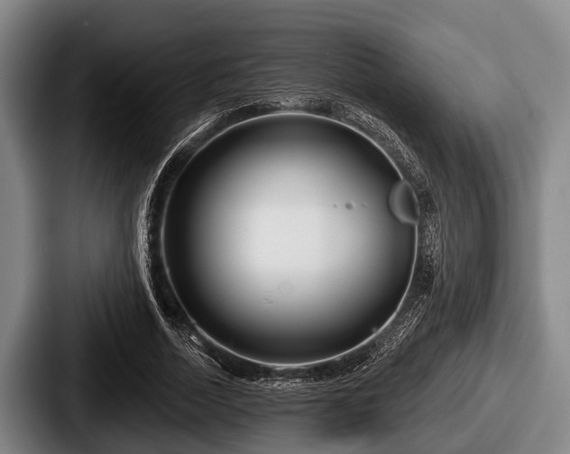 X0000087680730200705111300