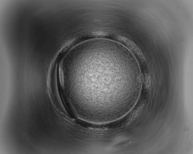 X0000087680731200705111300