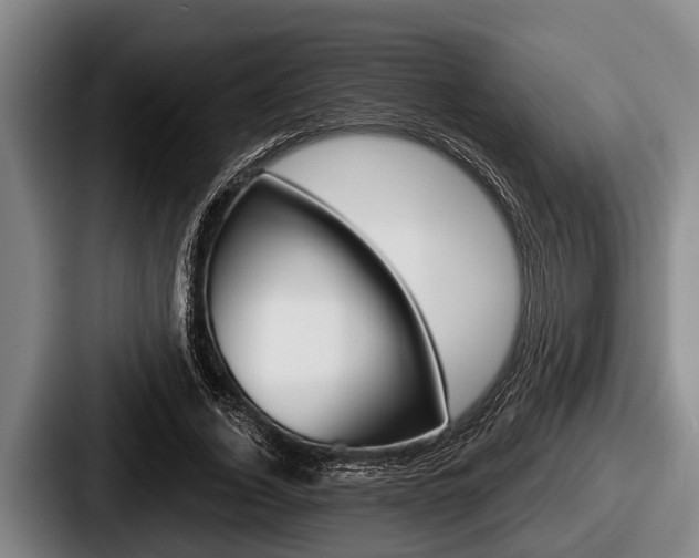 X0000087680732200705111300
