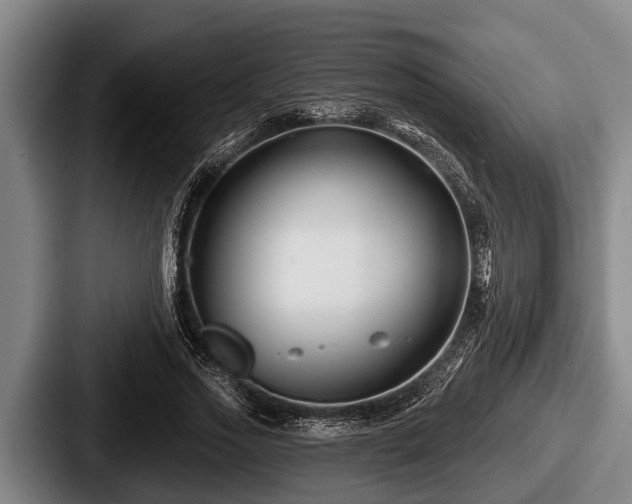 X0000087680733200705111300