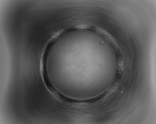 X0000087680734200705111300