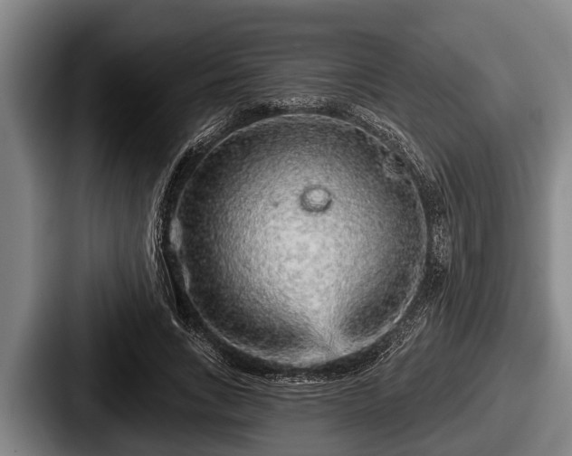 X0000087680735200705111300