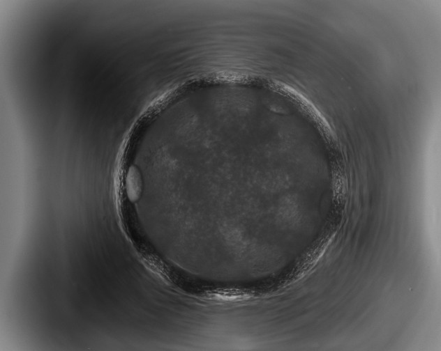 X0000087680736200705111300