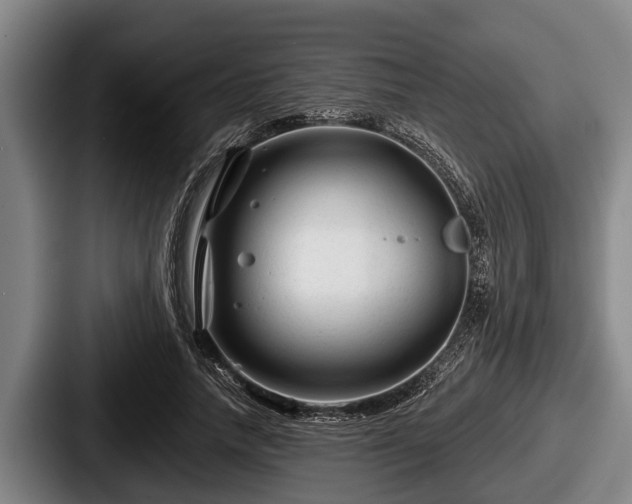 X0000087680738200705111300