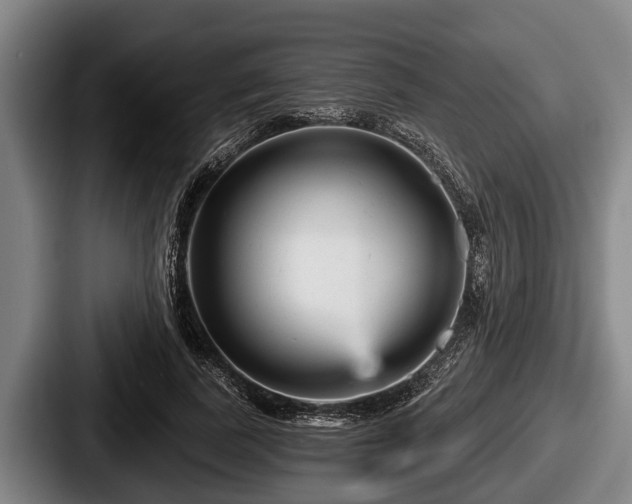 X0000087680739200705111300