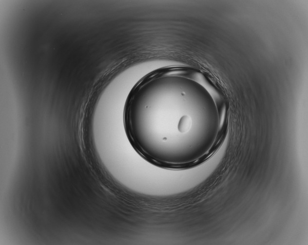 X0000087680740200705111300
