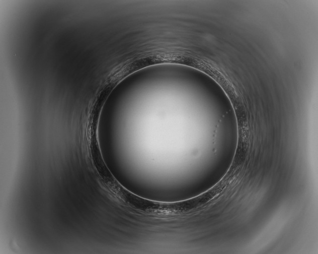 X0000087680741200705111300