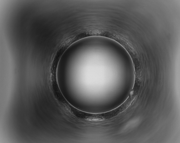 X0000087680743200705111300