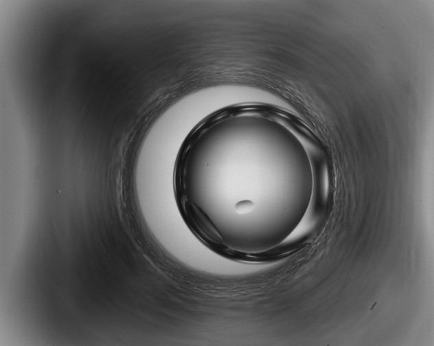 X0000087680744200705111300