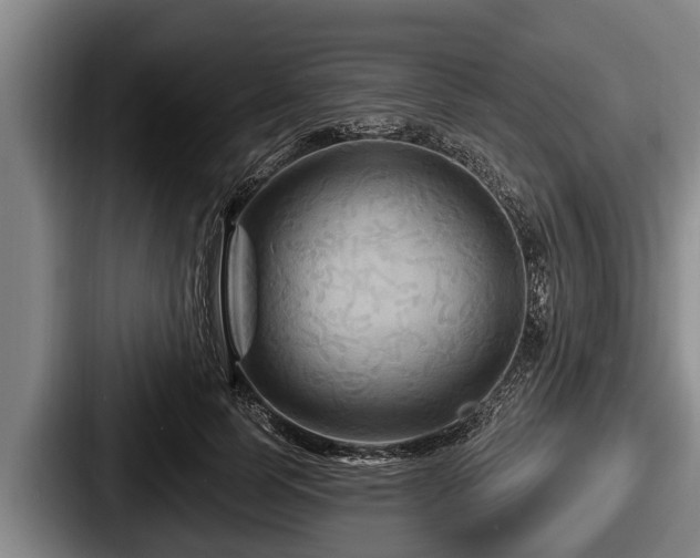 X0000087680745200705111300