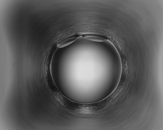 X0000087680746200705111300