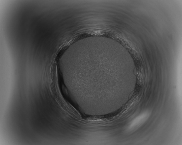 X0000087680747200705111300