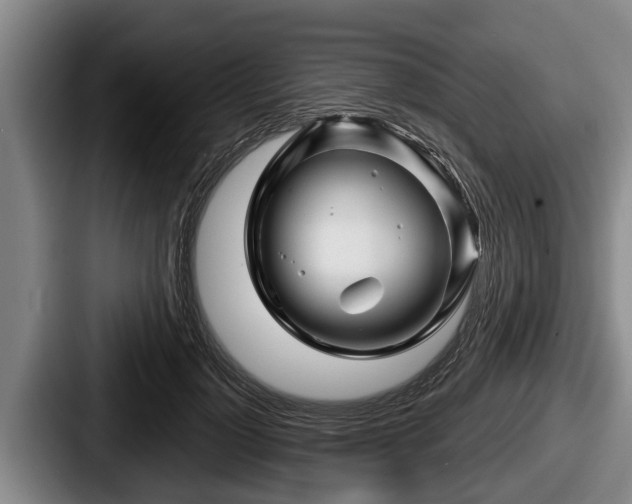 X0000087680748200705111300