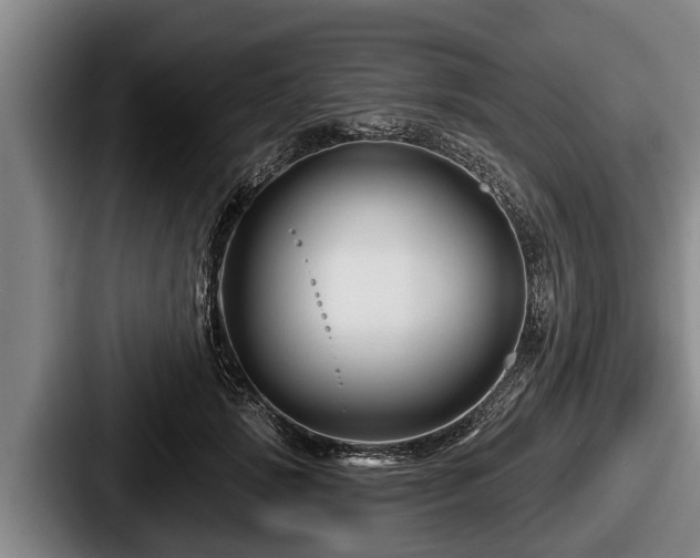 X0000087680749200705111300