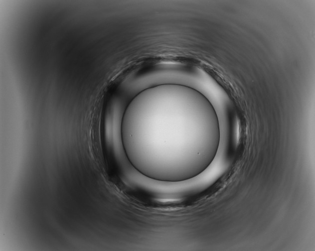 X0000087680750200705111300