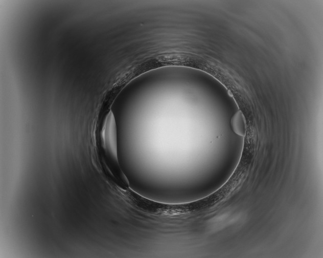 X0000087680751200705111300