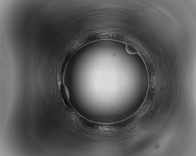 X0000087680753200705111300