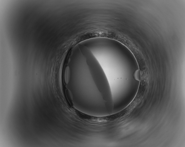 X0000087680754200705111300