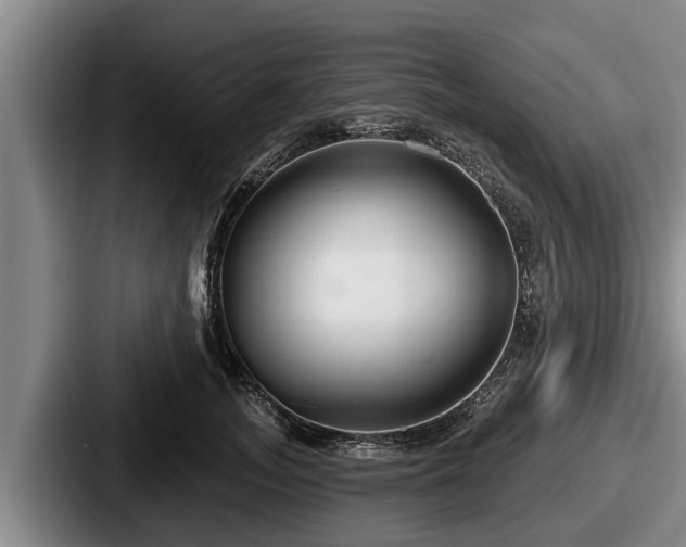 X0000087680755200705111300
