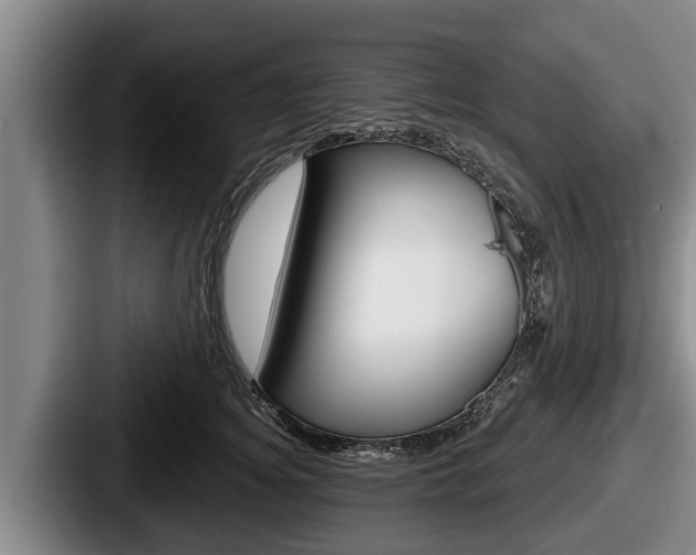 X0000087680756200705111300