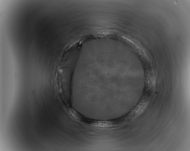 X0000087680758200705111300