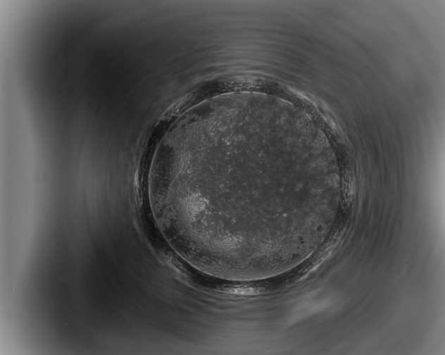 X0000087680759200705111300
