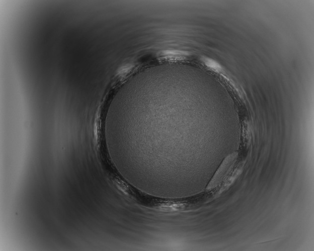 X0000087680760200705111300