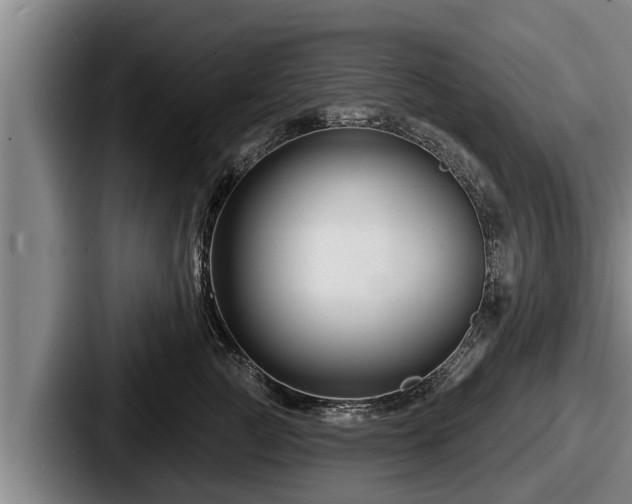 X0000087680761200705111300