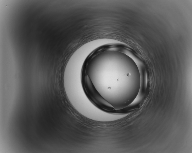 X0000087680762200705111300
