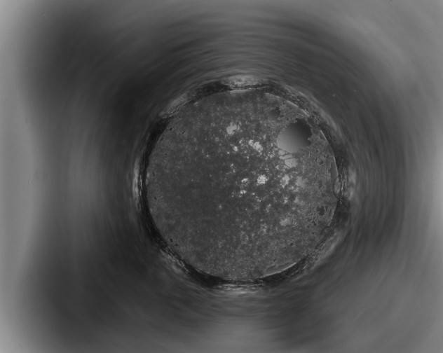 X0000087680763200705111300