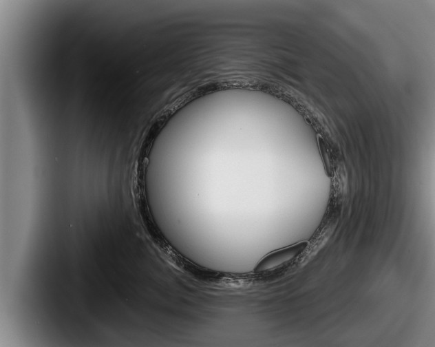 X0000087680764200705111300