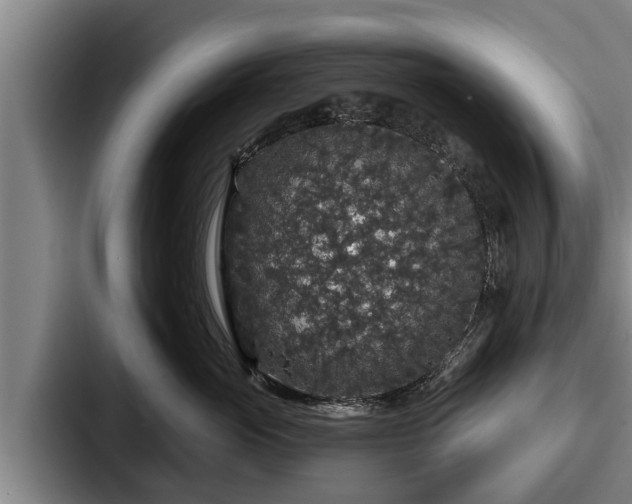 X0000087680765200705111300