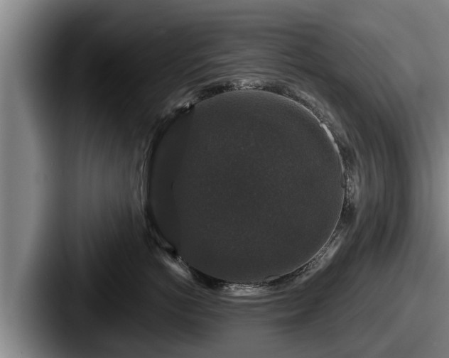X0000087680766200705111300
