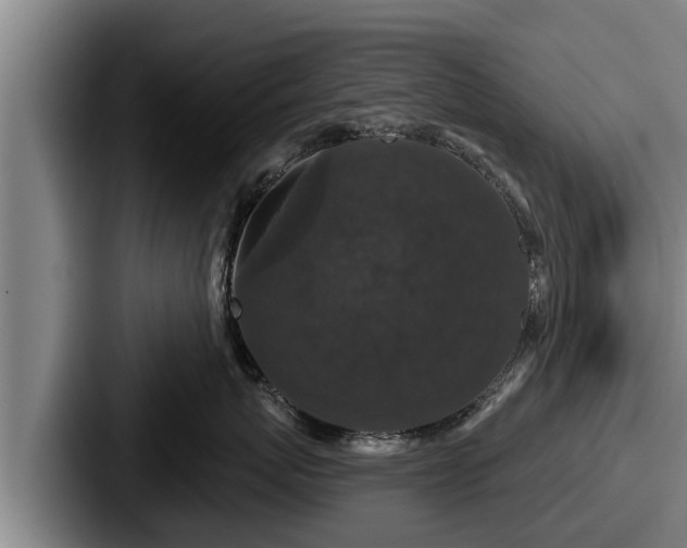 X0000087680767200705111300