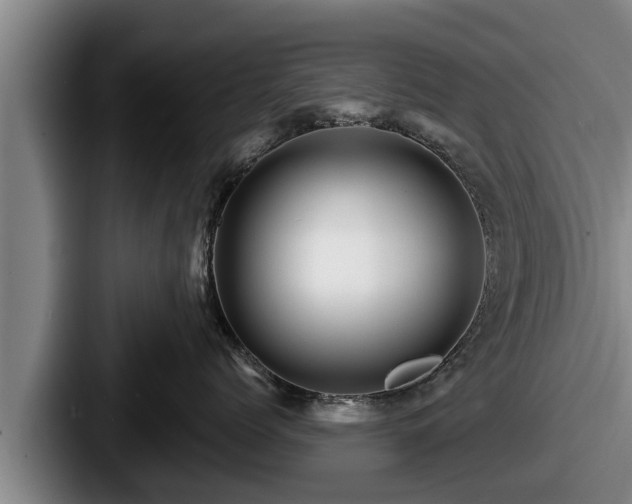 X0000087680768200705111300