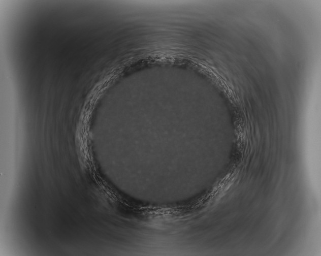 X0000087680769200705111300
