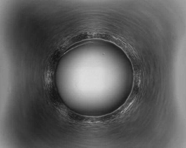 X0000087680770200705111300