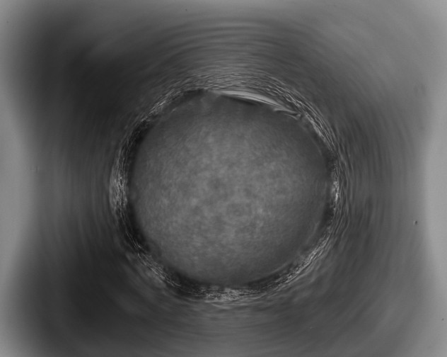 X0000087680772200705111300