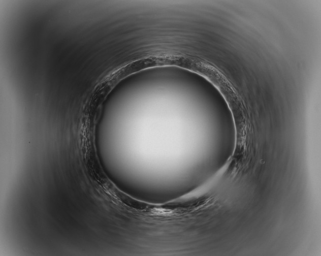 X0000087680773200705111300