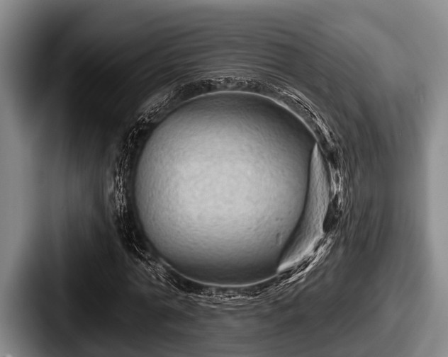 X0000087680774200705111300