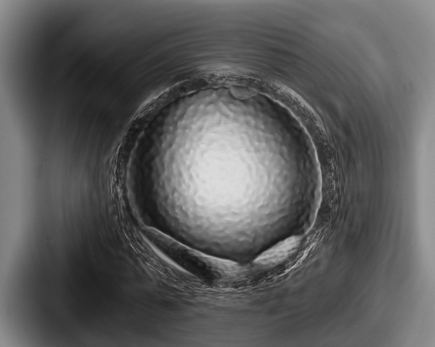 X0000087680775200705111300