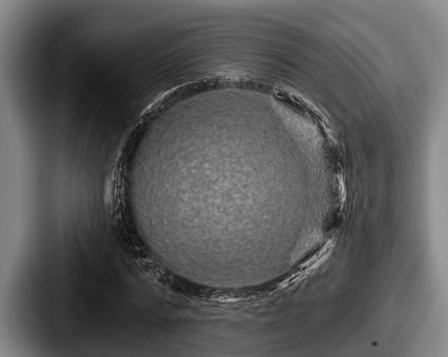 X0000087680776200705111300